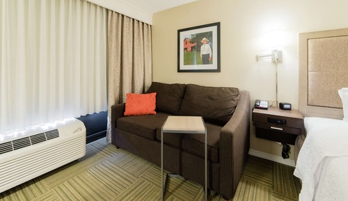 Room, 1 King Bed with Sofa bed, Accessible, Lake View (Hearing)