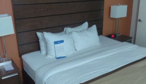 Room, 1 King Bed, Accessible, Non Smoking (Mobility Accessible)