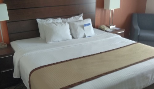 Room, 1 King Bed, Non Smoking