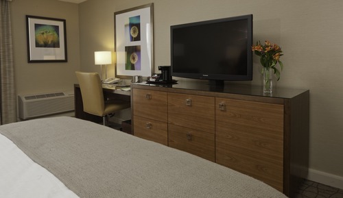 Room, 1 King Bed (Oversized Room)