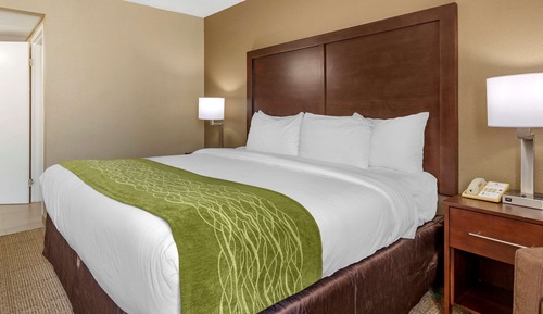 Standard Room, 1 King Bed, Non Smoking