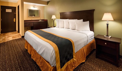 Standard Room, 1 King Bed, Non Smoking, Microwave (with Sofabed)