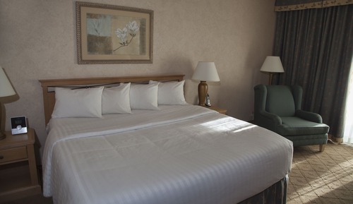 Room, 1 King Bed, Accessible