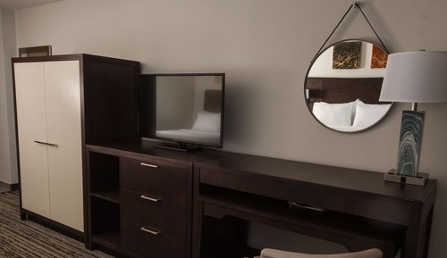 Premium Room, 1 King Bed, Accessible Bathtub (Mobility, Accessible Tub)