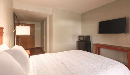 Room, Accessible, Bathtub