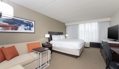 Standard Room, 1 King Bed, Non Smoking