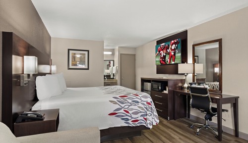 Superior Room, 1 King Bed, Non Smoking