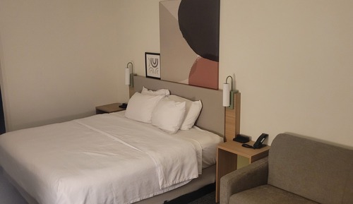 Room, 1 King Bed with Sofa bed