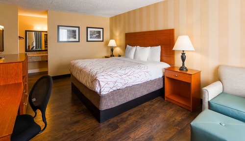 Standard Room, 1 Queen Bed, Accessible, Non Smoking (Walk-in Shower;Pet Friendly)