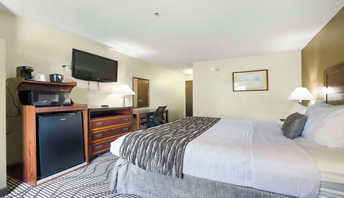 Standard Room, 1 King Bed, Non Smoking, Refrigerator & Microwave