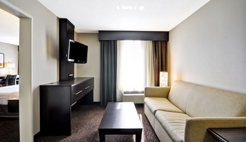Suite, 1 Bedroom (1 King Bed, Sofa Bed)