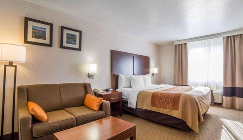 Standard Room, 1 King Bed, Non Smoking