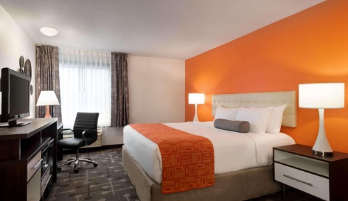 Room, 1 King Bed
