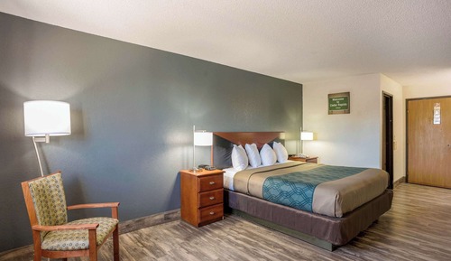 Room, 1 King Bed, Non Smoking