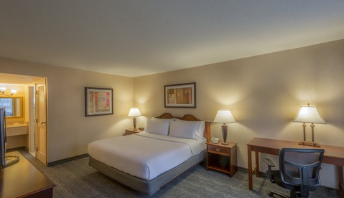 Suite, 1 King Bed with Sofa bed