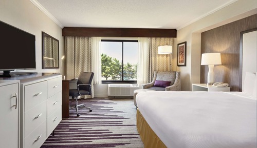 Room, 1 King Bed, Accessible, Non Smoking
