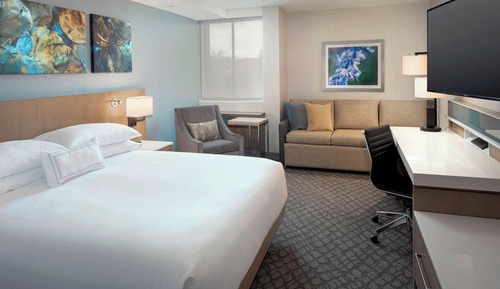 Room, 1 King Bed with Sofa bed (Mobility/Hearing Accessible, Tub)