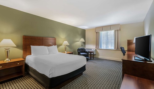 Standard Room, 1 Queen Bed, Non Smoking, Refrigerator & Microwave