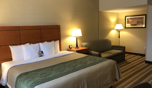 Deluxe Room, 1 King Bed with Sofa bed, Non Smoking (2 Person Sofa bed, Shower only)