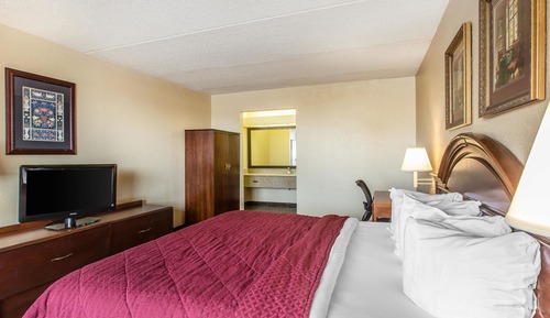 Standard Room, 1 King Bed, Non Smoking