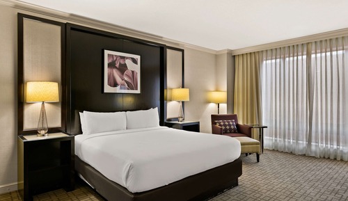 Deluxe Room, 1 King Bed, Accessible, City View (Mobility/Hearing Roll-in Shower)