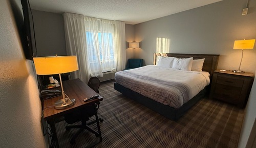 Room, 1 King Bed, Non Smoking