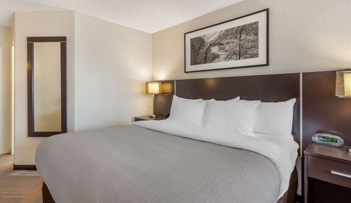 Standard Room, 1 King Bed, Non Smoking