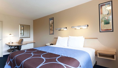Room, 1 King Bed, Accessible, Non Smoking
