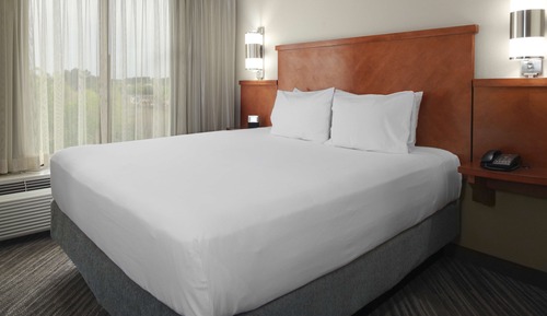 Room, 1 King Bed with Sofa bed (Specialty)