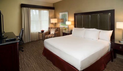 Room, 1 King Bed, Non Smoking