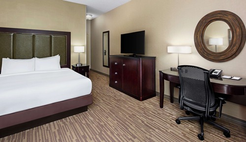 Room, Accessible, Non Smoking (Roll-in Shower)