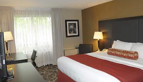Standard Room, 1 King Bed, Non Smoking