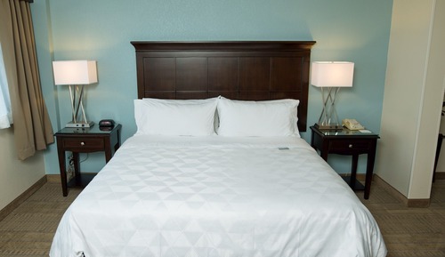 Room, 1 King Bed, Roll-in Shower (Communications Accessible)