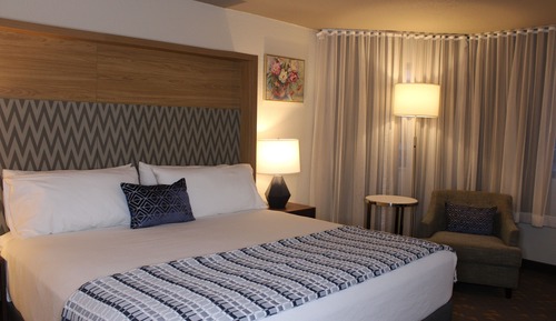 Room, 1 King Bed, Non Smoking