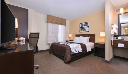 Standard Room, 1 Queen Bed, Non Smoking