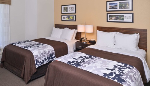 Standard Double Room, 2 Double Beds, Non Smoking