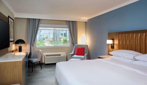 Room, 1 King Bed
