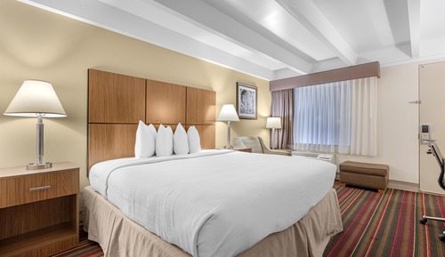 Standard Room, 1 King Bed, Accessible, Bathtub