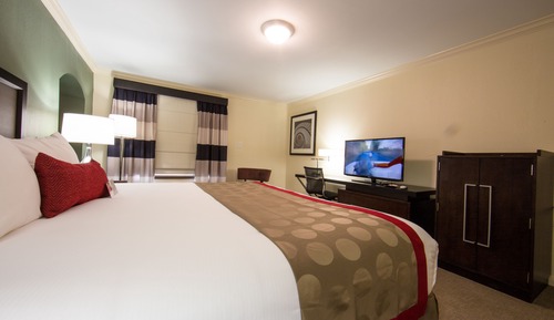 Room, 1 King Bed, Pool View