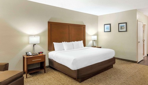 Standard Room, 1 King Bed, Non Smoking