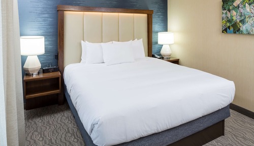Room, 1 King Bed