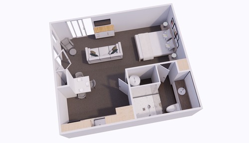 Studio Suite, 1 Queen Bed, Kitchen (Mobility, Roll in Shower)