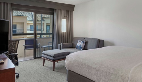 Room, 1 King Bed with Sofa bed (Mobility/Hearing Access, Roll-In Shwr)