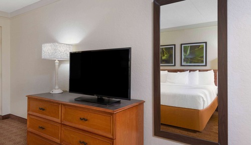 Suite, 1 King Bed with Sofa Bed