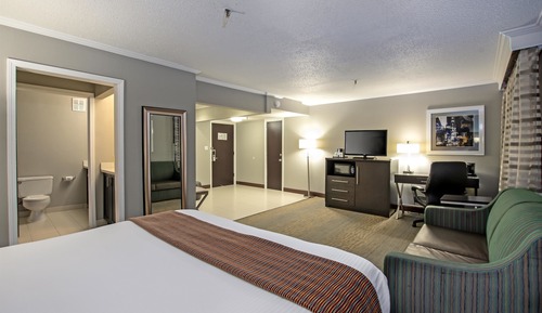 Suite, 1 King Bed, Non Smoking, Refrigerator & Microwave (Larger Room;with Sofabed)