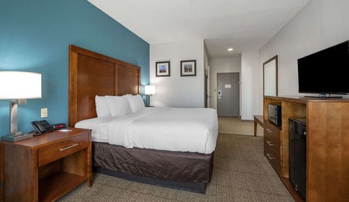 Standard Room, 1 King Bed, Non Smoking