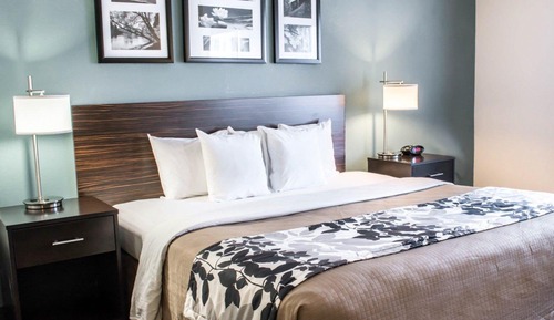 Room, 1 Queen Bed, Accessible, Non Smoking