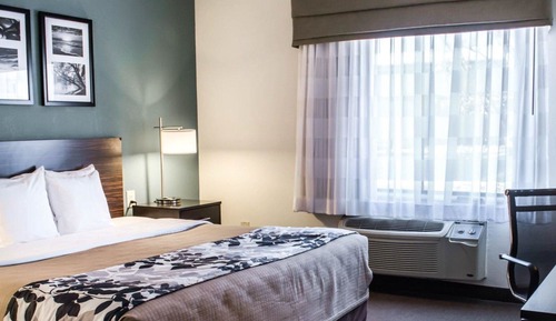 Standard Room, 1 King Bed, Non Smoking