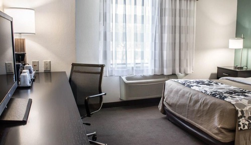 Suite, 1 King Bed with Sofa bed, Accessible, Non Smoking