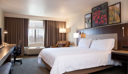 One King Bed Standard